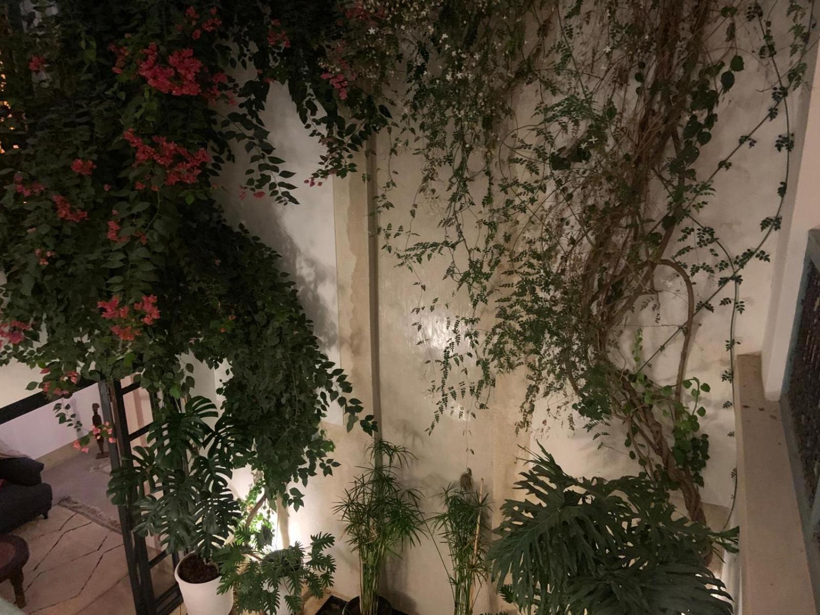 Le Petit Pacha Hotell Marrakesh Eksteriør bilde